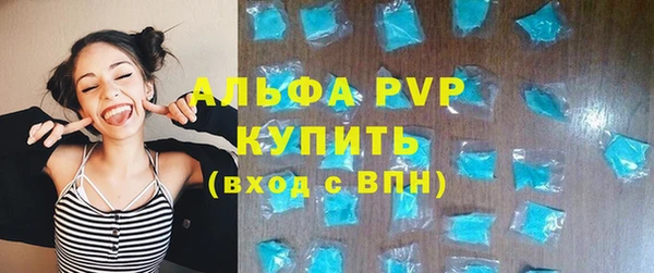 индика Абинск
