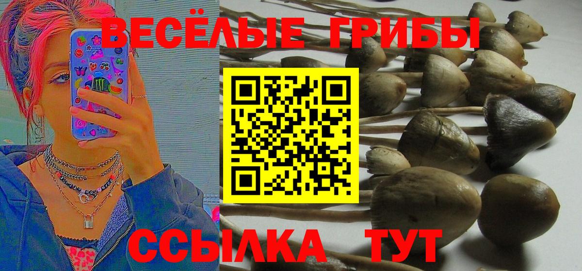 Псилоцибиновые грибы мухоморы  Вход с VPN  Астрахань 