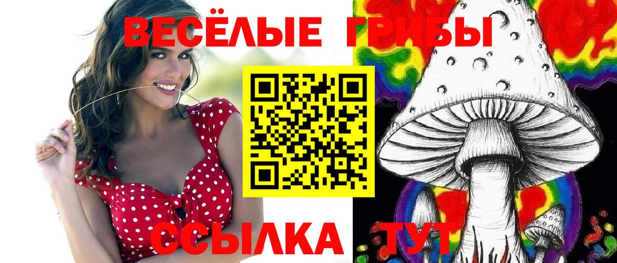 Псилоцибиновые грибы Psilocybine cubensis Астрахань